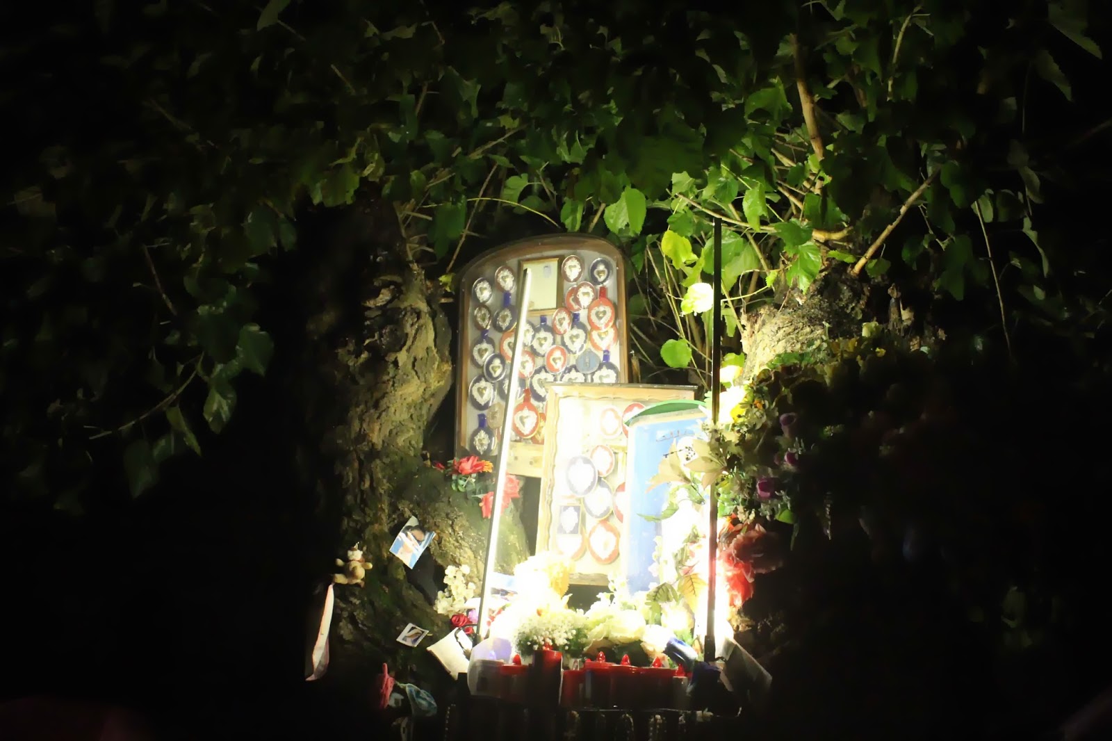 Emilia Misteriosa Emilia Misteriosa Torna A San Bonico Nel Campo Dove La Madonna Della Notte Apparirebbe Al Veggente Celeste