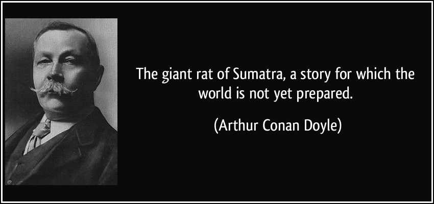 La rata gigante de Sumatra