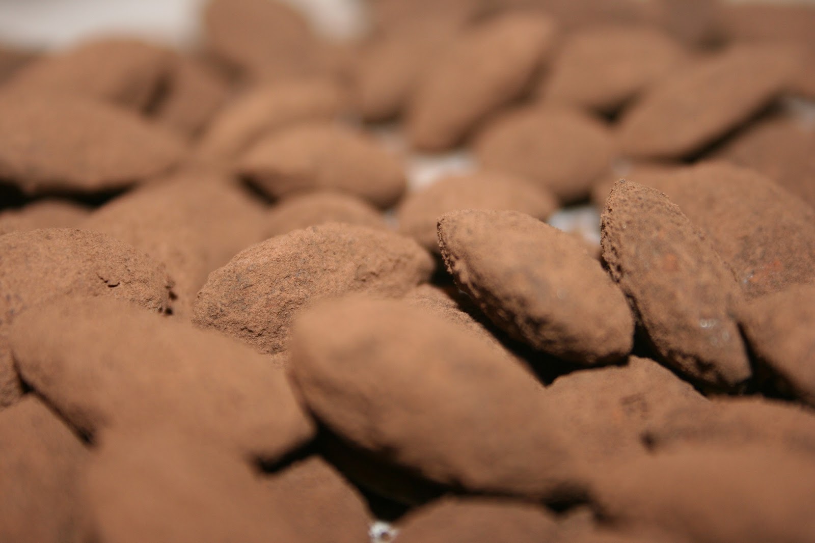 Tricia's Simply Tasteful Recipes Cocoa Dusted Almonds