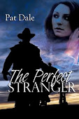 The Perfect Stranger