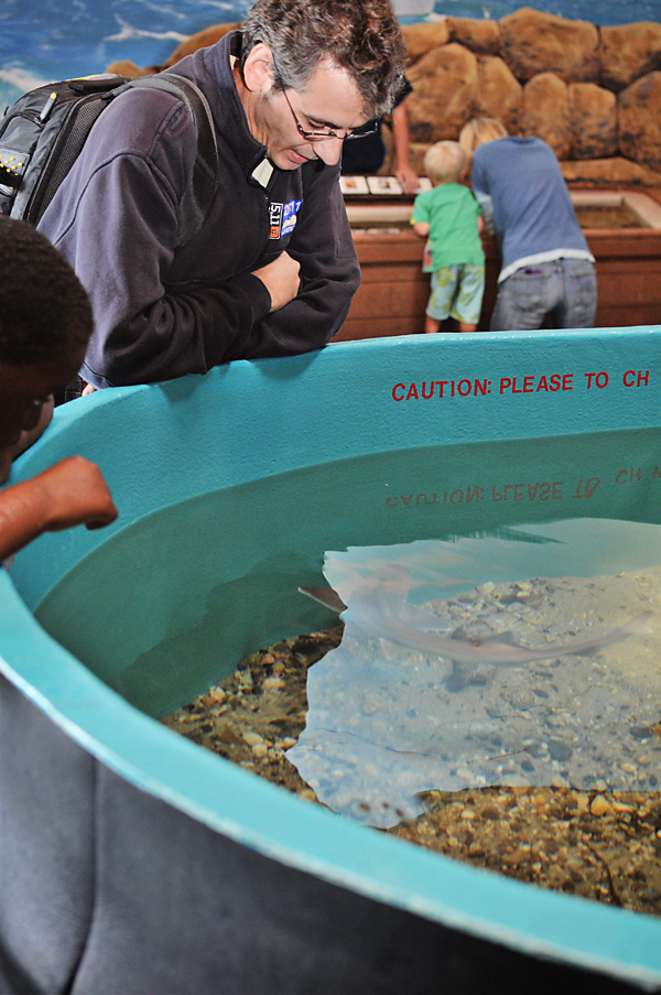 This Handmade Life Our Summer in Review Maine State Aquarium