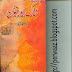 Khaak Aur Khoon by Naseem Hijazi PDF Free Download
