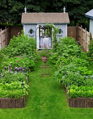 View Simple Home Vegetable Garden Design PNG