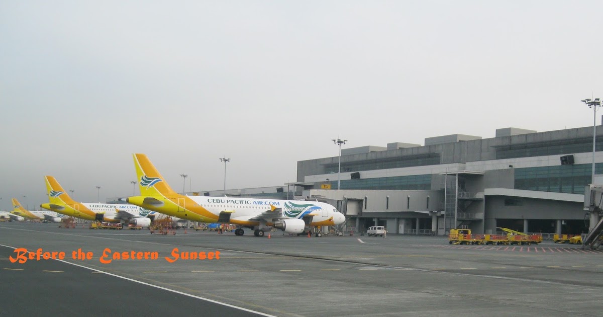 Are Dogs Allowed In Naia Terminal 3