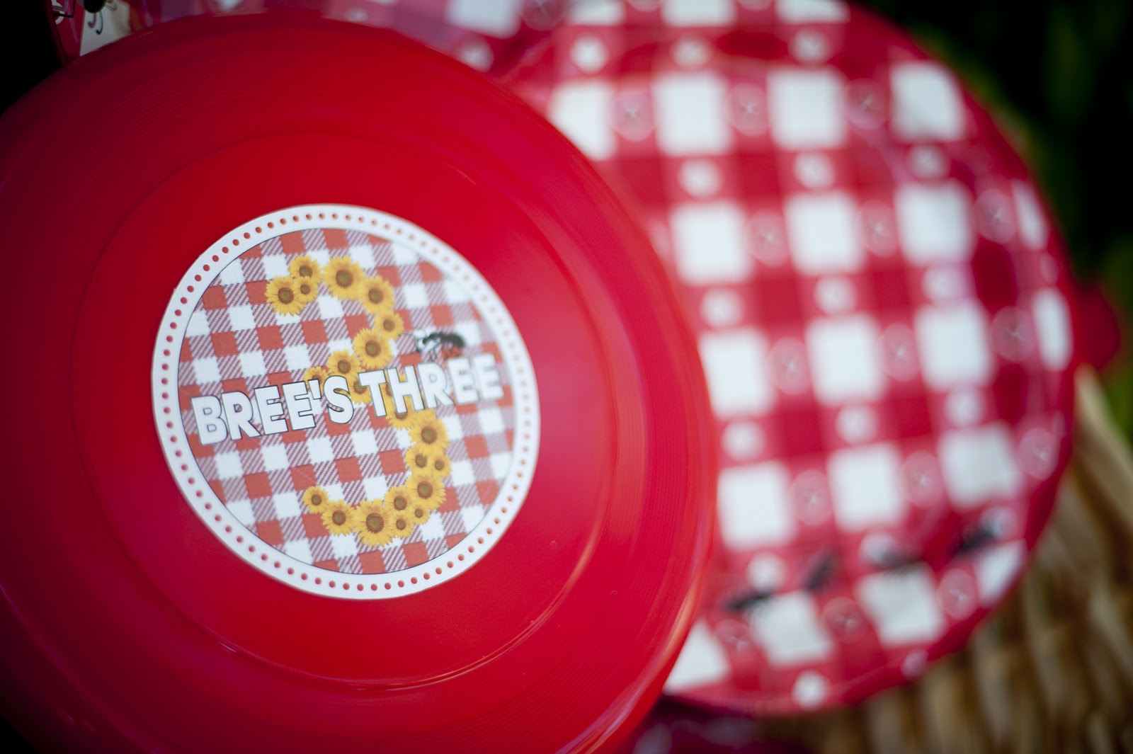 a. party style picnic party