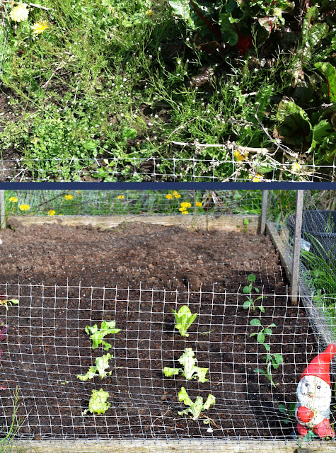 a home in the making: April 2012