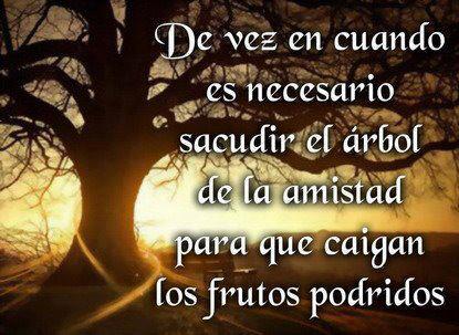 Image result for pensamientos positivos motivacion