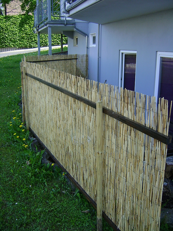 Terrassen- und Balkonbepflanzung: Sichtschutz 2.0