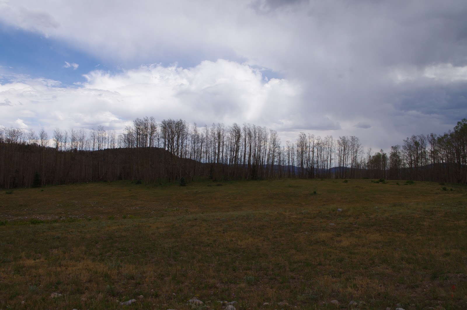 Southern New Mexico Explorer Canjilon Mountain Trail Carson National
