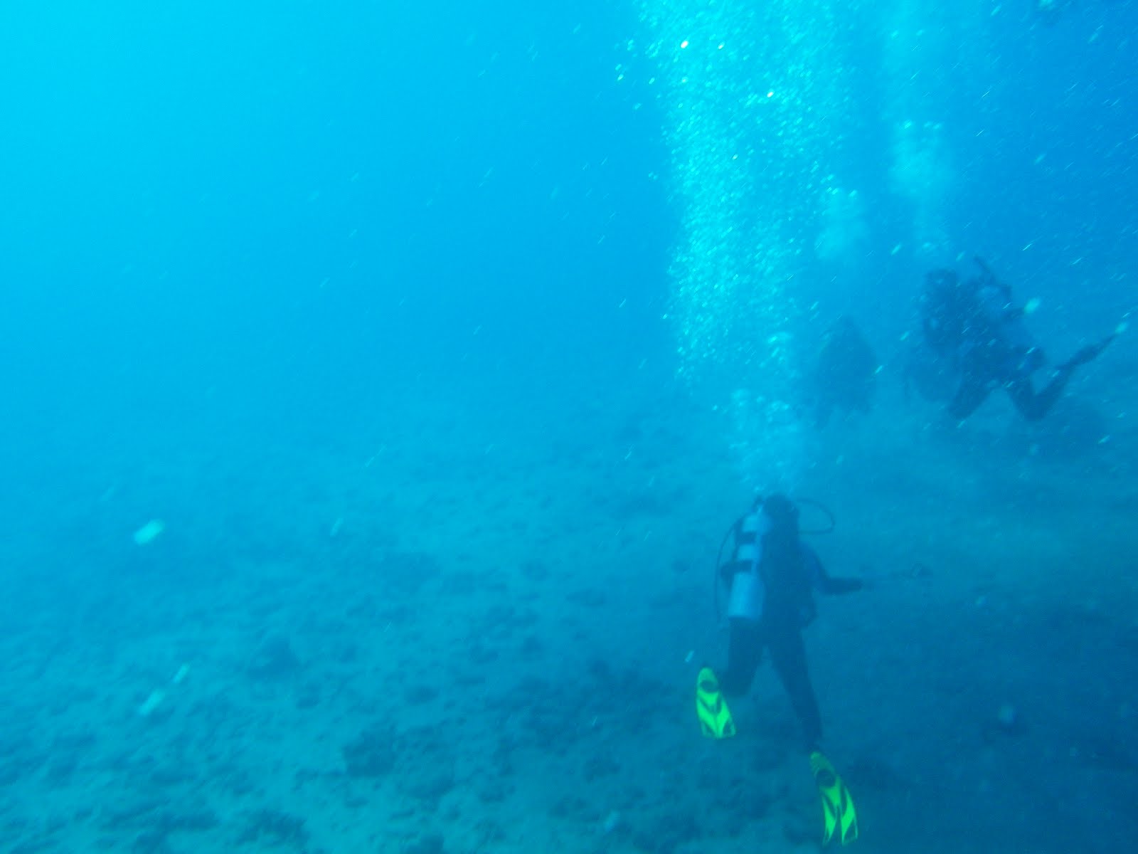 Kodiak Haakansons Snorkeling & Scuba Diving Expedition