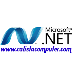 Microsoft Net Framework 4.5 Offline Installer