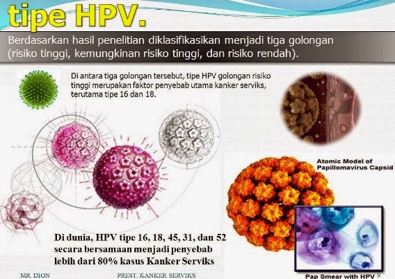 VIRUS HPV