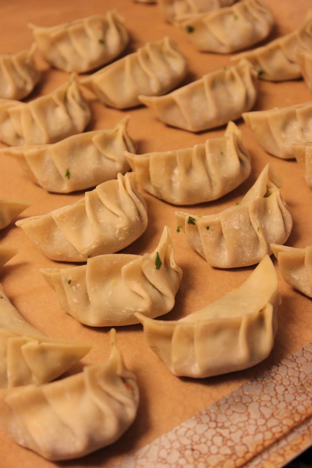 Megsiemay Makes Steamed Gyoza