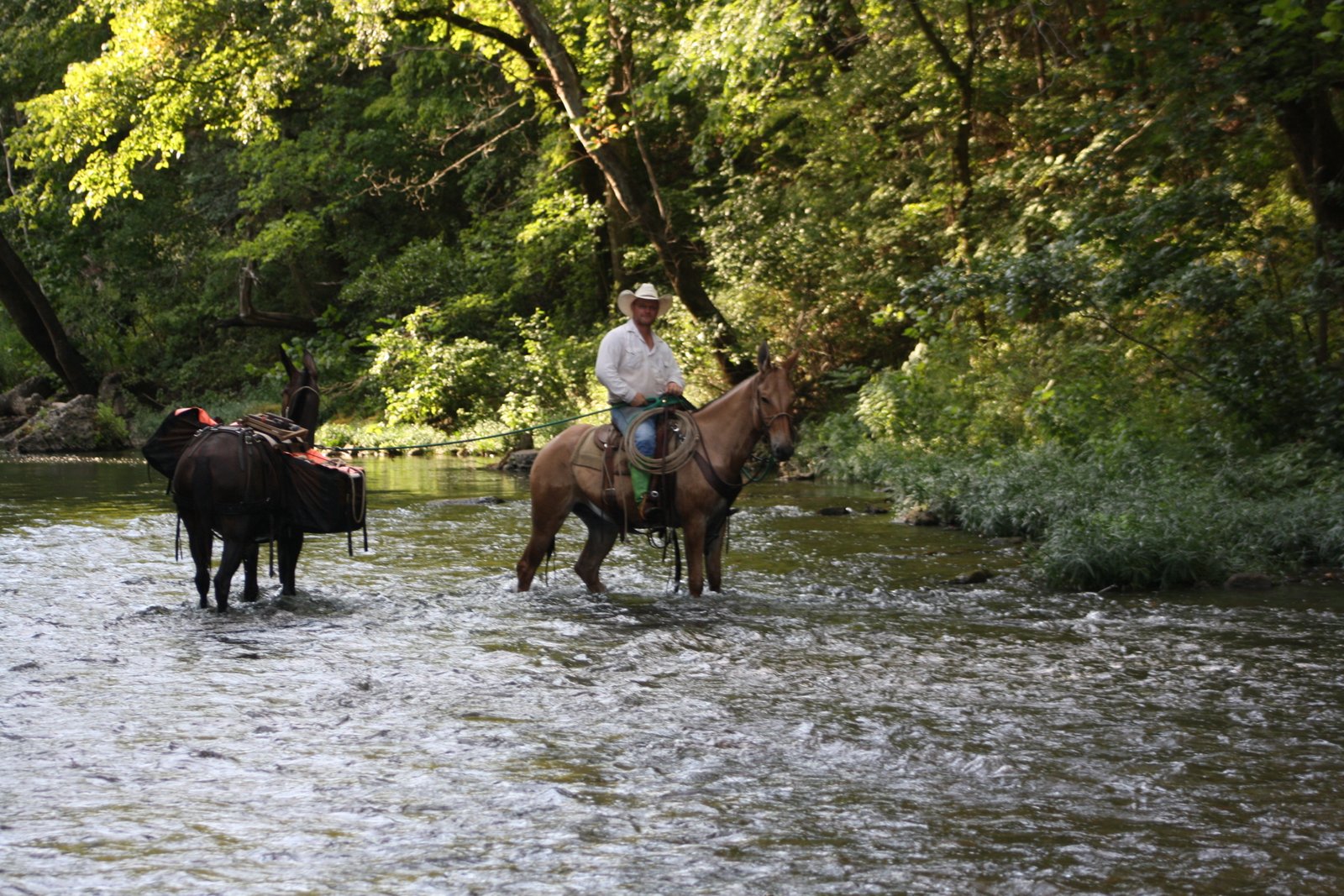 PairADice Mules: Weekend Trail Riding