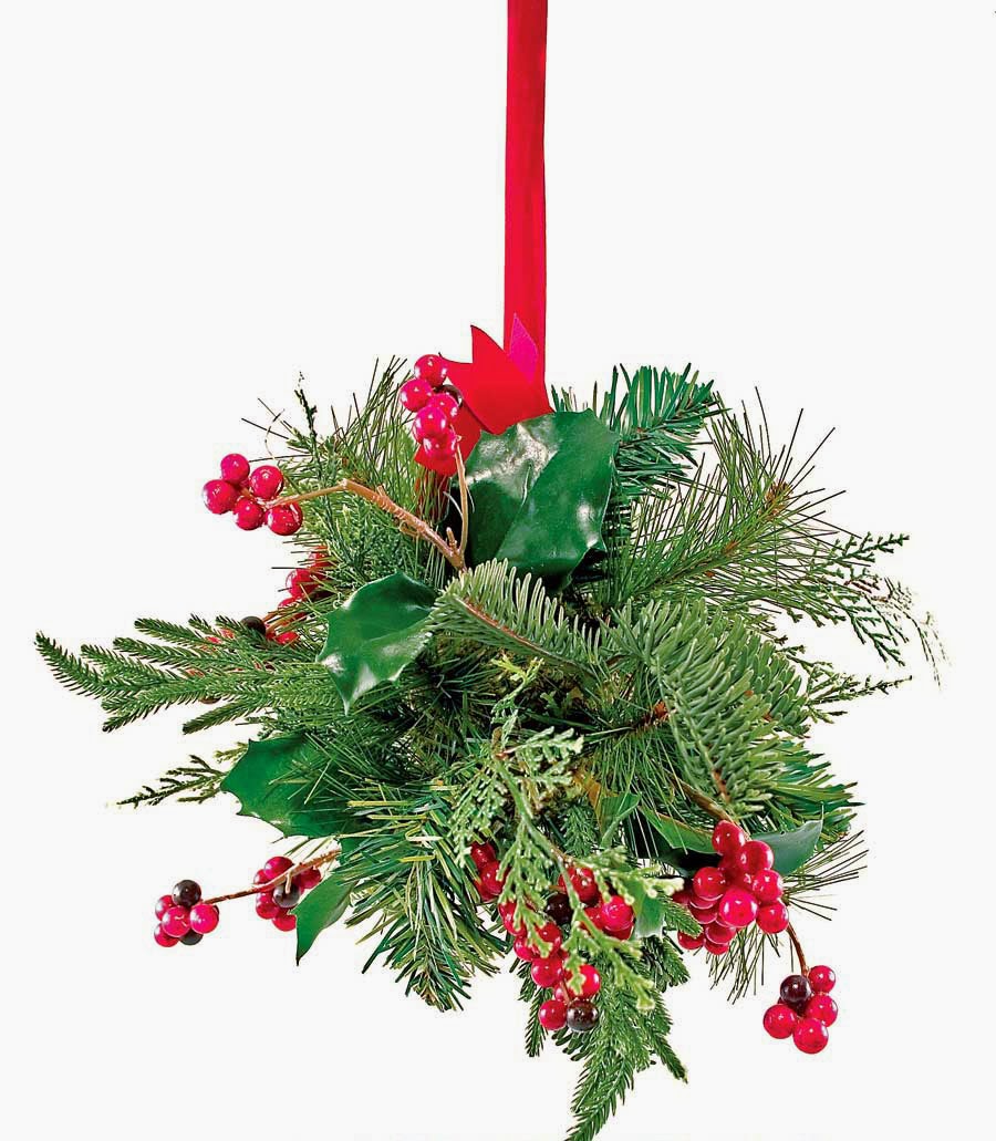 The Domestic Curator Traditional Christmas Kissing Balls