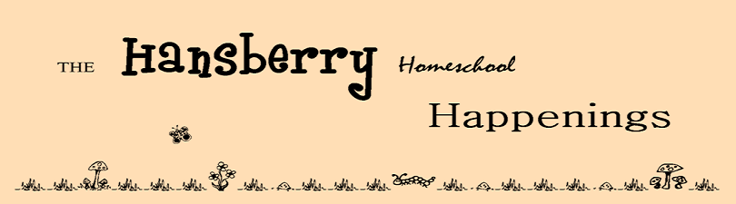 Hansberry Happenings