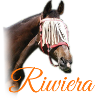 Riwiera