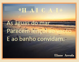 UM HAICAI DE ELIANE ARRUDA