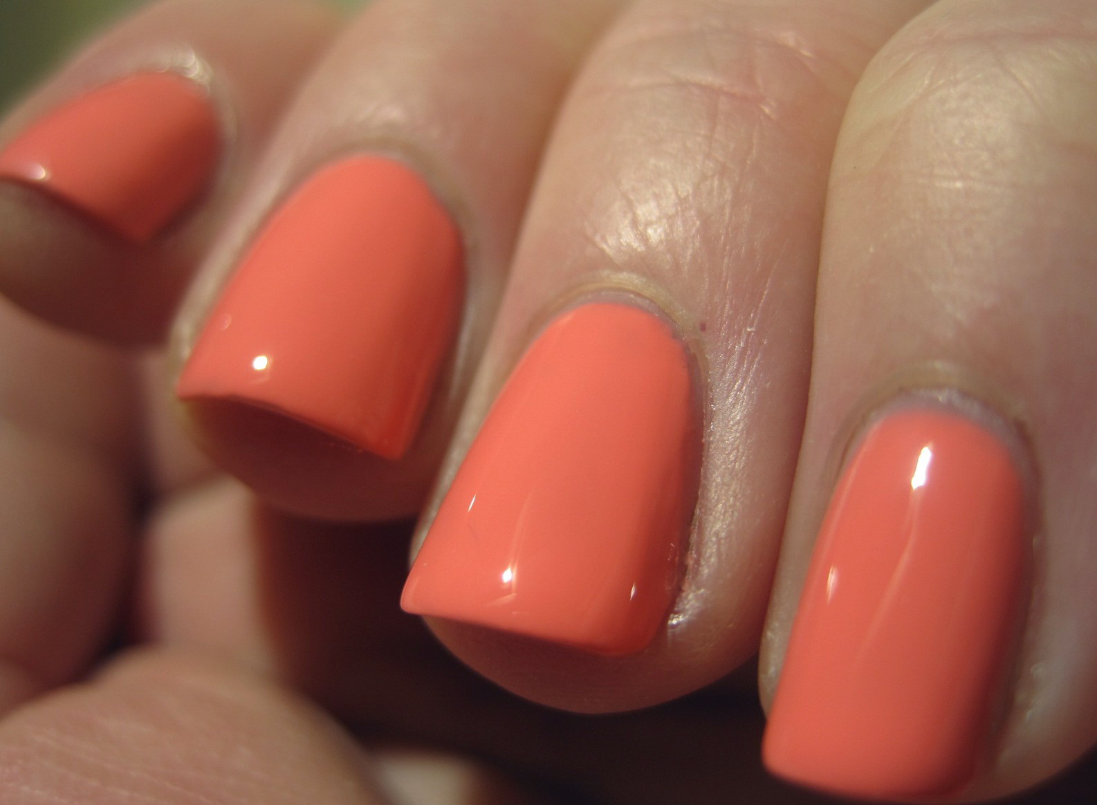 Butter London Trout Pout and Bossy Boots My Lucid Bubble