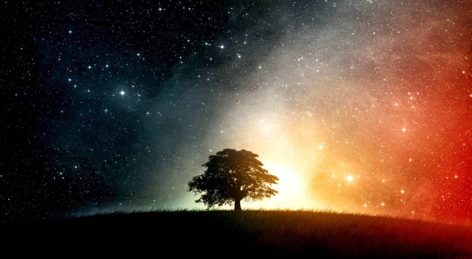 Galaxy Tree Galaxy Tree