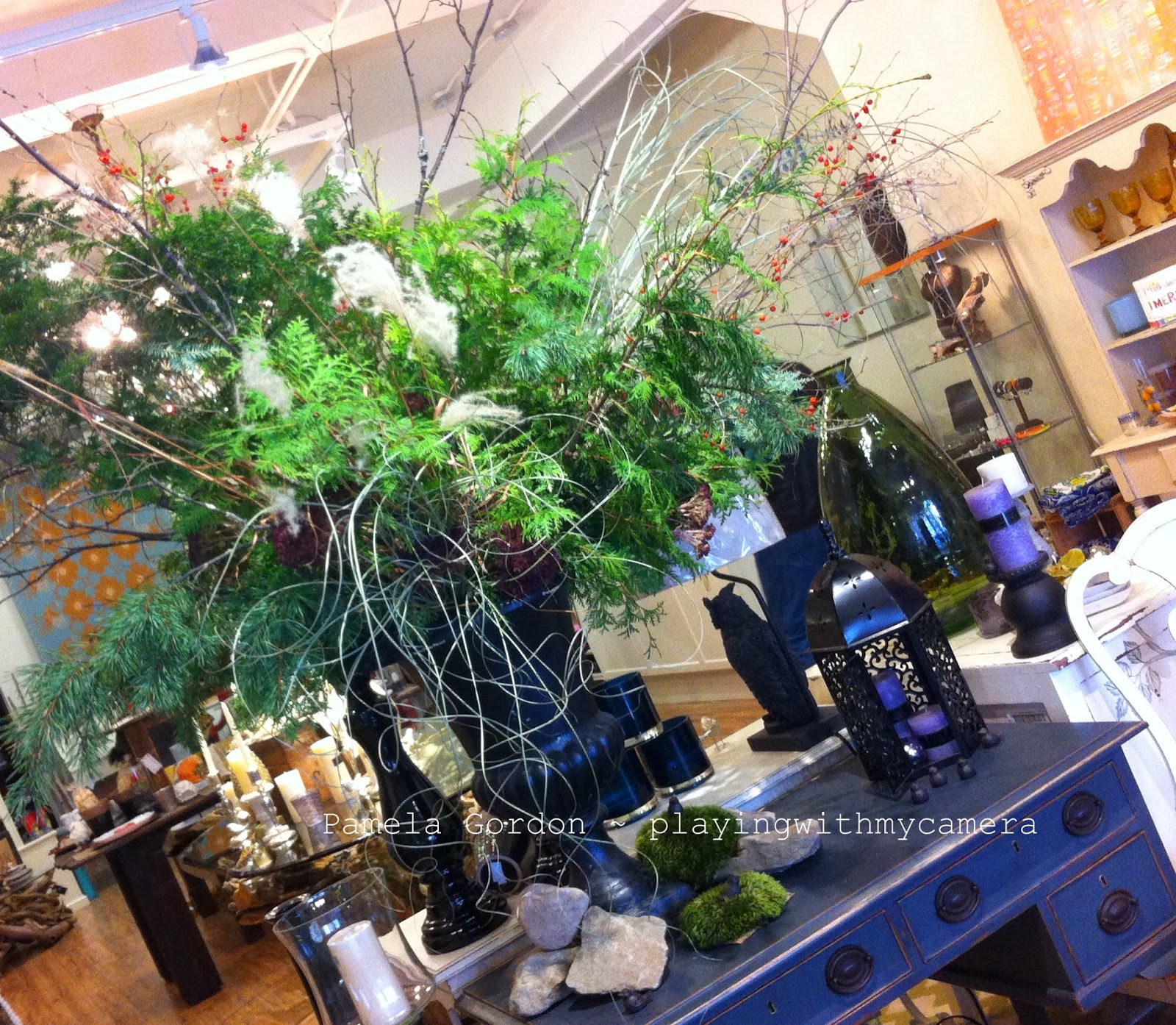 playingwithmycamera: Christmas shopping
