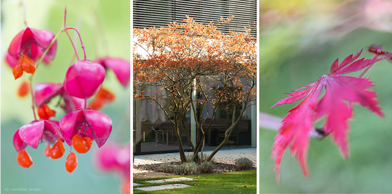 Gartenplanung, gartendesign und gartengestaltung: pflanzplanung ...
