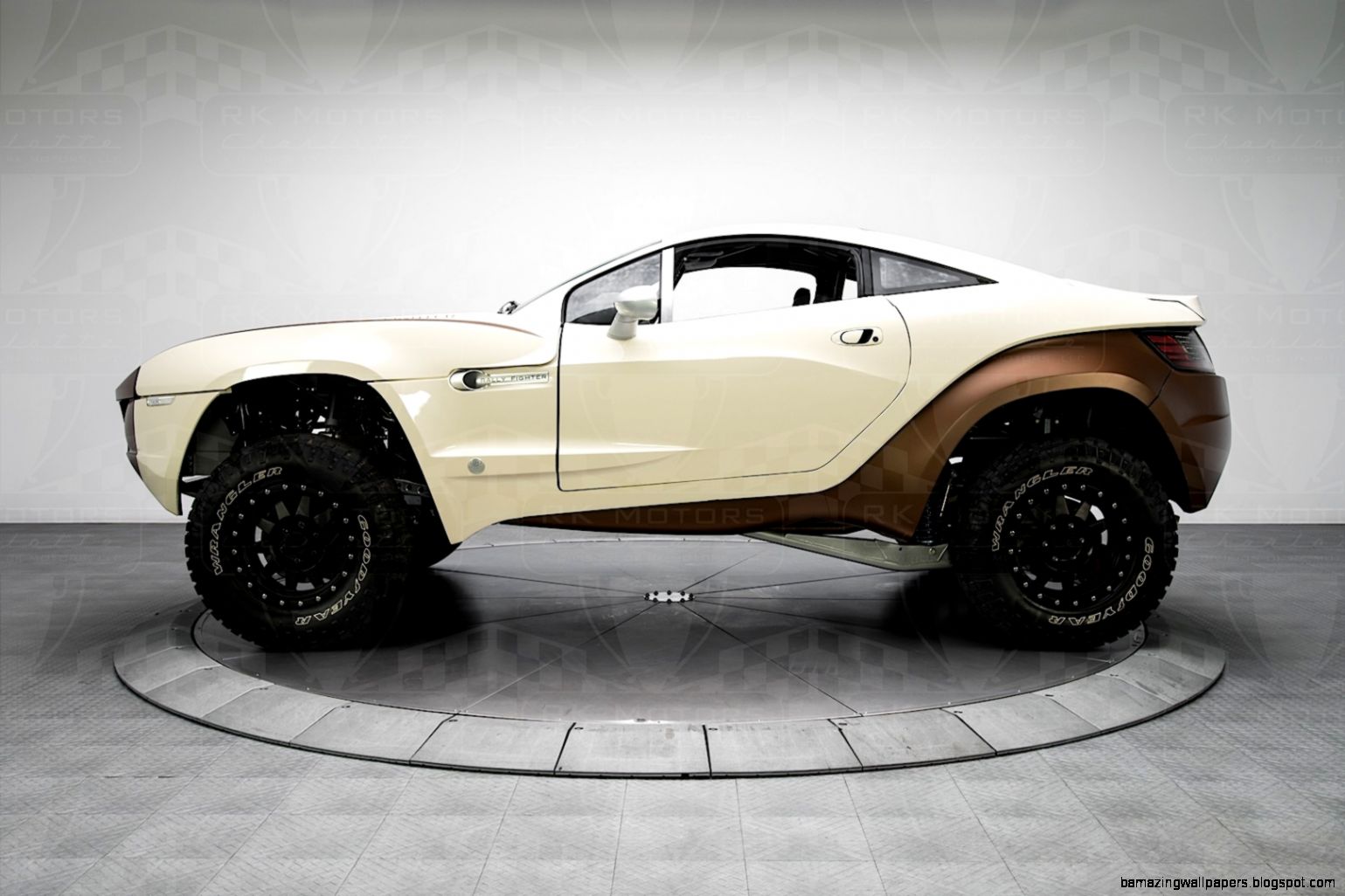 ray everhams rally fighter ray everhams rally fighter