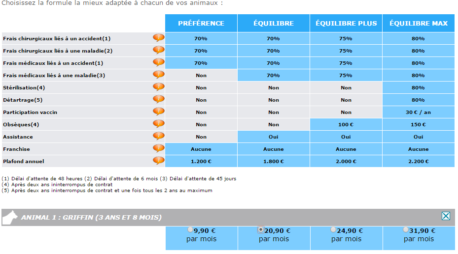 Griffin Bouledogue Francais Une Assurance Pour Griffin