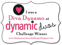 Dynamic Duo Challenge Winner