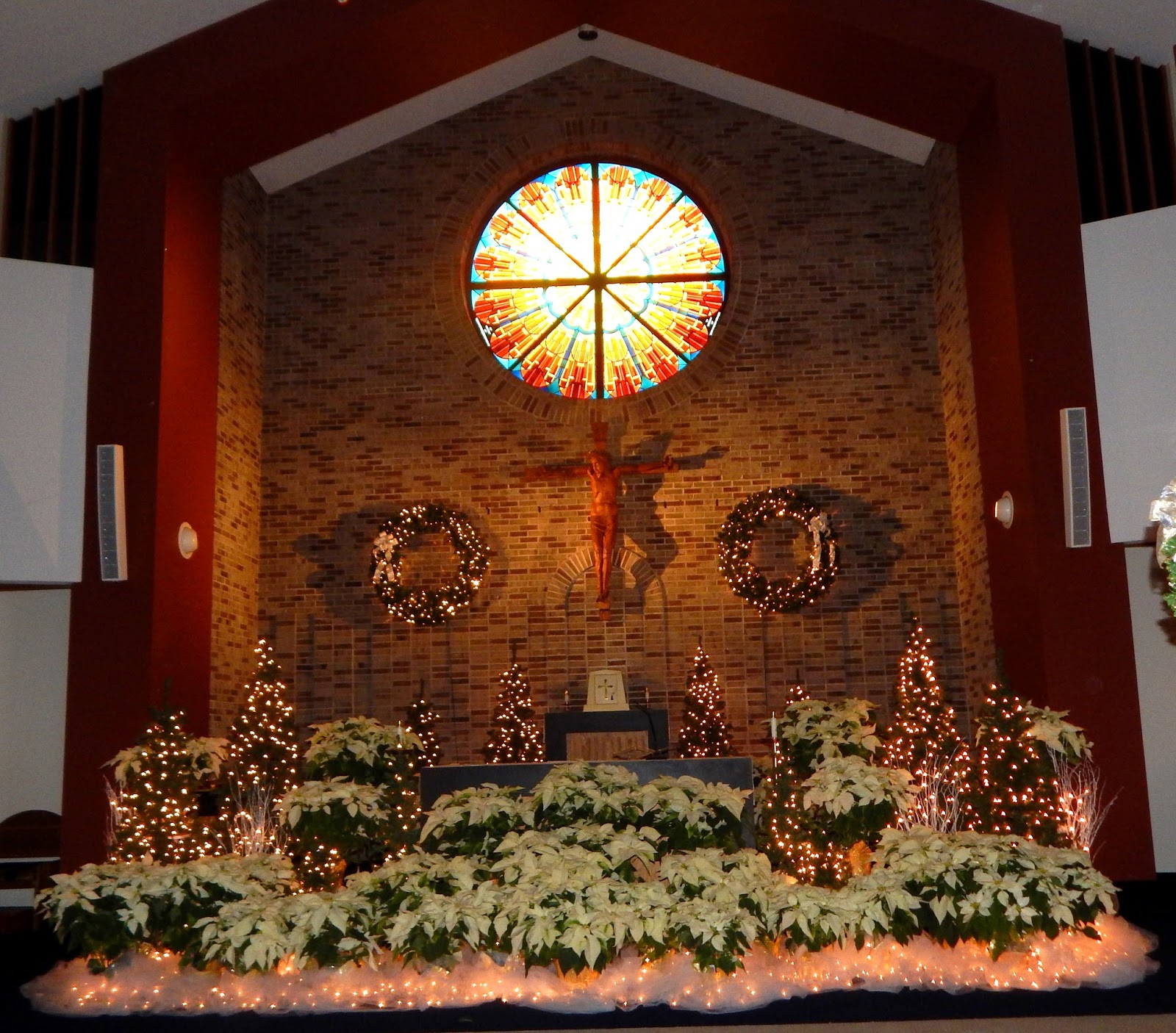 Appleseed At St. Dominic In Southington and at St. Peter's Basilica