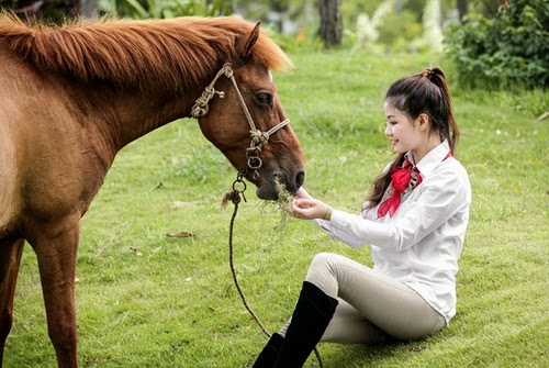 Miss SLNA kiêu sa bên chiến mã