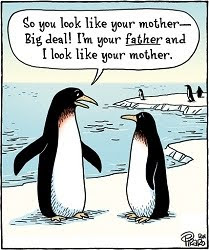 Bizarro. Bizarro.