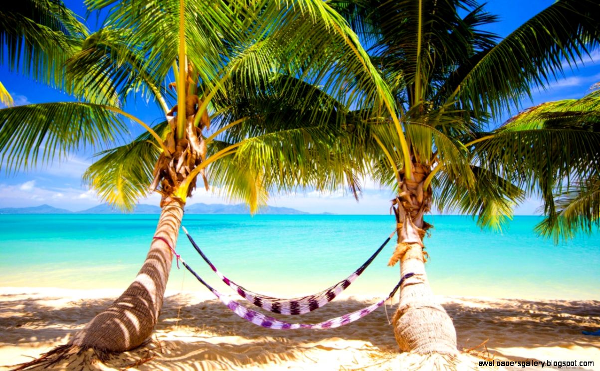 Tropical Beach Hammock HD desktop wallpaper Widescreen High Tropical Beach Hammock HD desktop wallpaper Widescreen High
