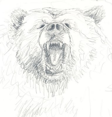 Angry Bear Drawing | Funny Collection World