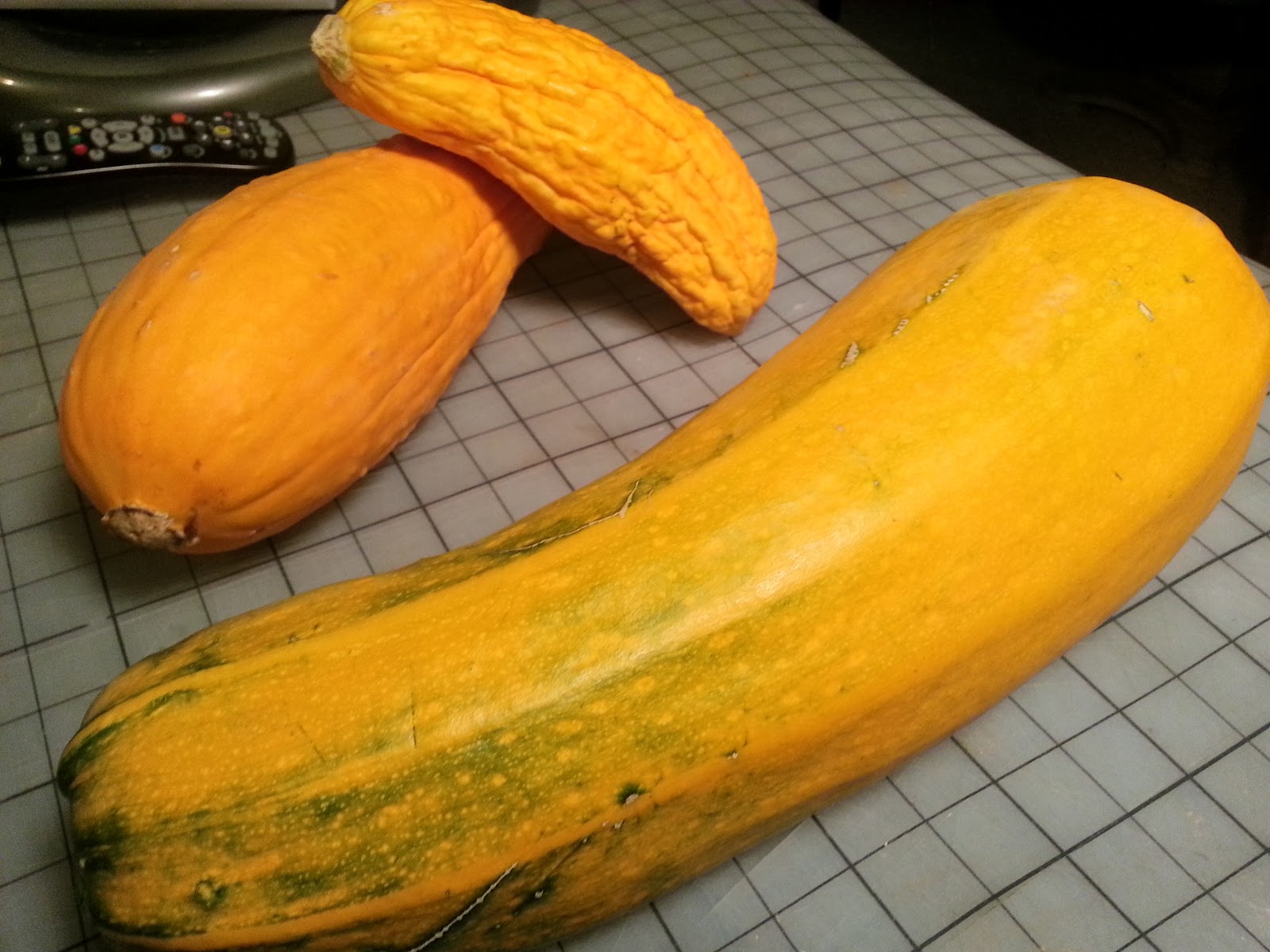 zucchini turning yellow and rotting