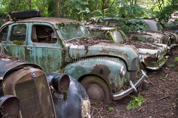 rencontre falaise 14700