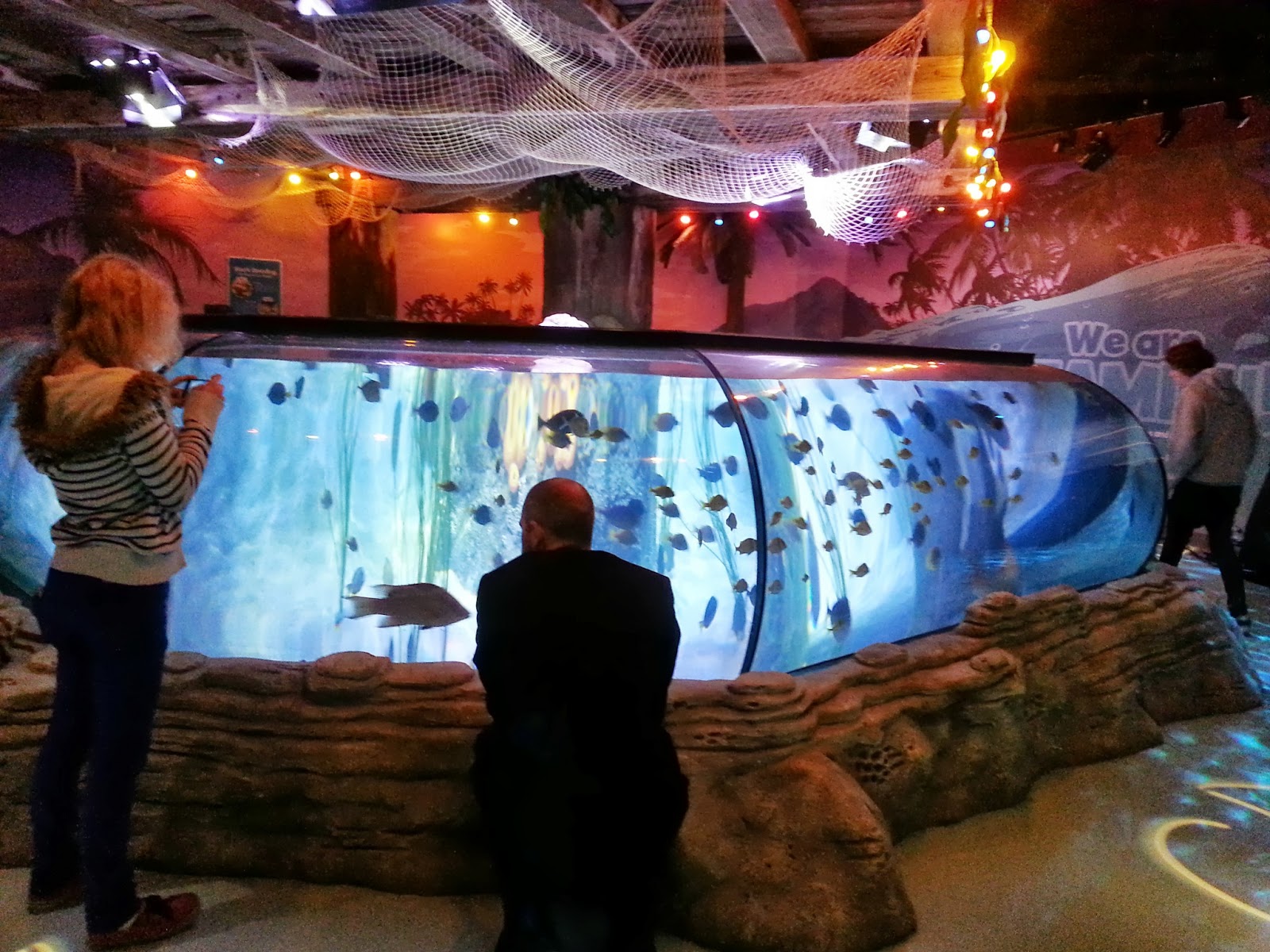 The Brick Castle The New SEA LIFE Centre, Trafford Park, Manchester