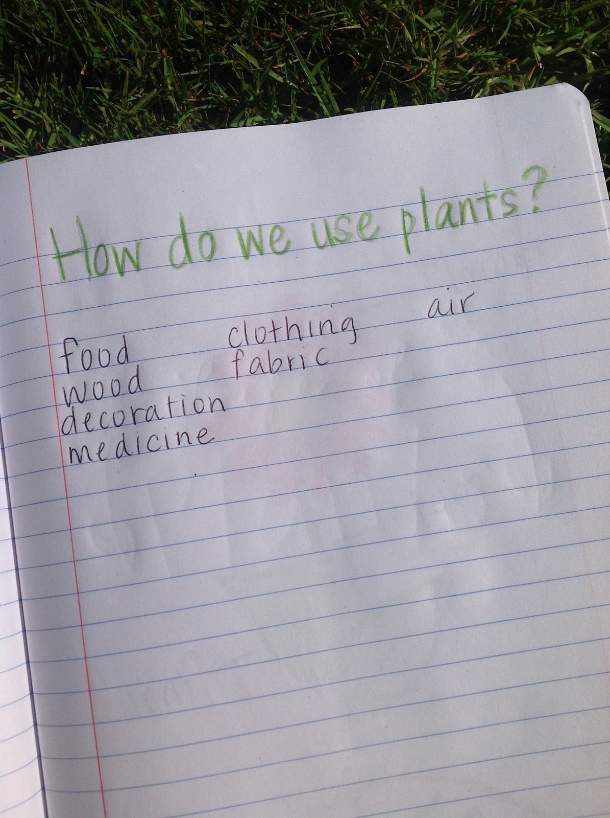 100 medicinal plants and their uses with pictures image