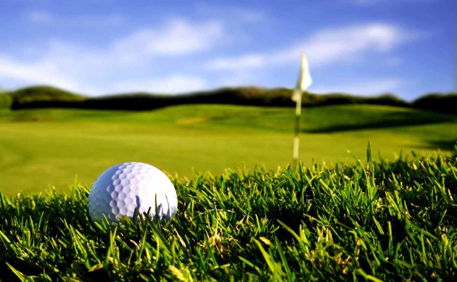 Golf in Grass HD Wallpapers Golf in Grass HD Wallpapers