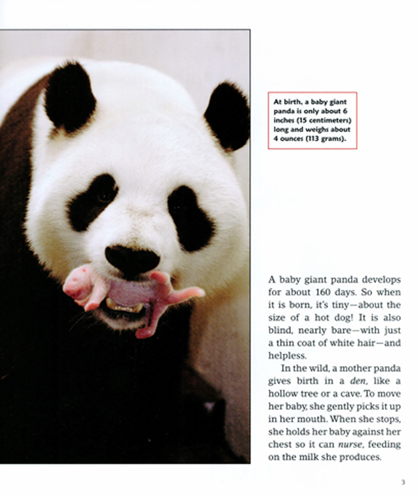 Phd dissertation image