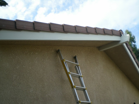 Exterior Painting 1