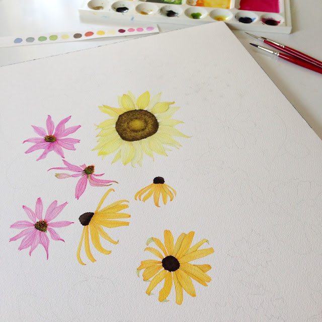 watercolor, botanical watercolor, watercolor flowers, summer flowers, painting process, sunflowers, coneflowers, black eyed susan, Anne Butera, My Giant Strawberry