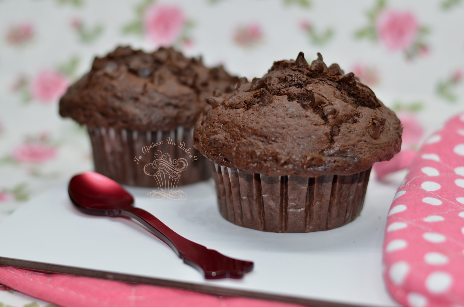 ¿ Te apetece un dulce ? Muffins de chocolate XL tipo Starbucks