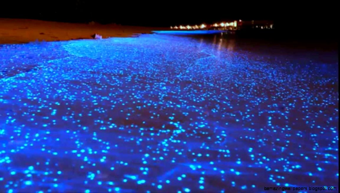 5 Cool places to visit in the world YouTube 5 Cool places to visit in the world YouTube