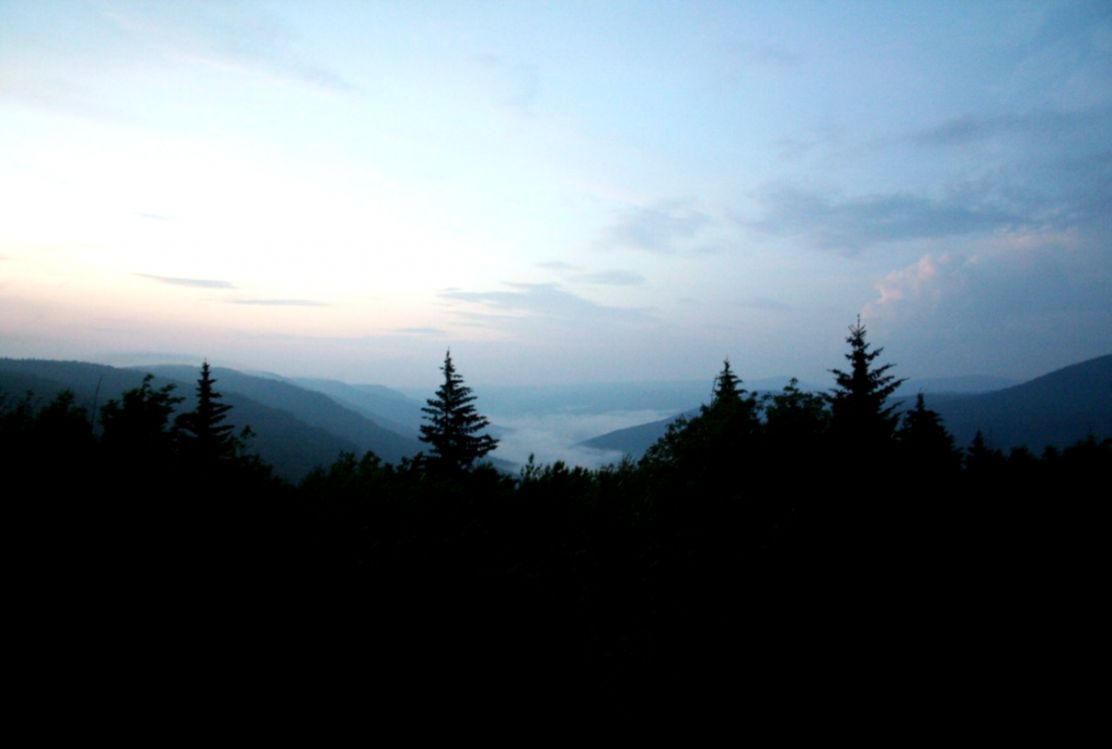FileMonogahel Forest night ForestWander Wikimedia Commons FileMonogahel Forest night ForestWander Wikimedia Commons