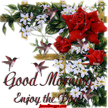 flower wallpaper with morning morning images with flowers mobile wallpapers flower wallpaper with morning morning images with flowers mobile wallpapers