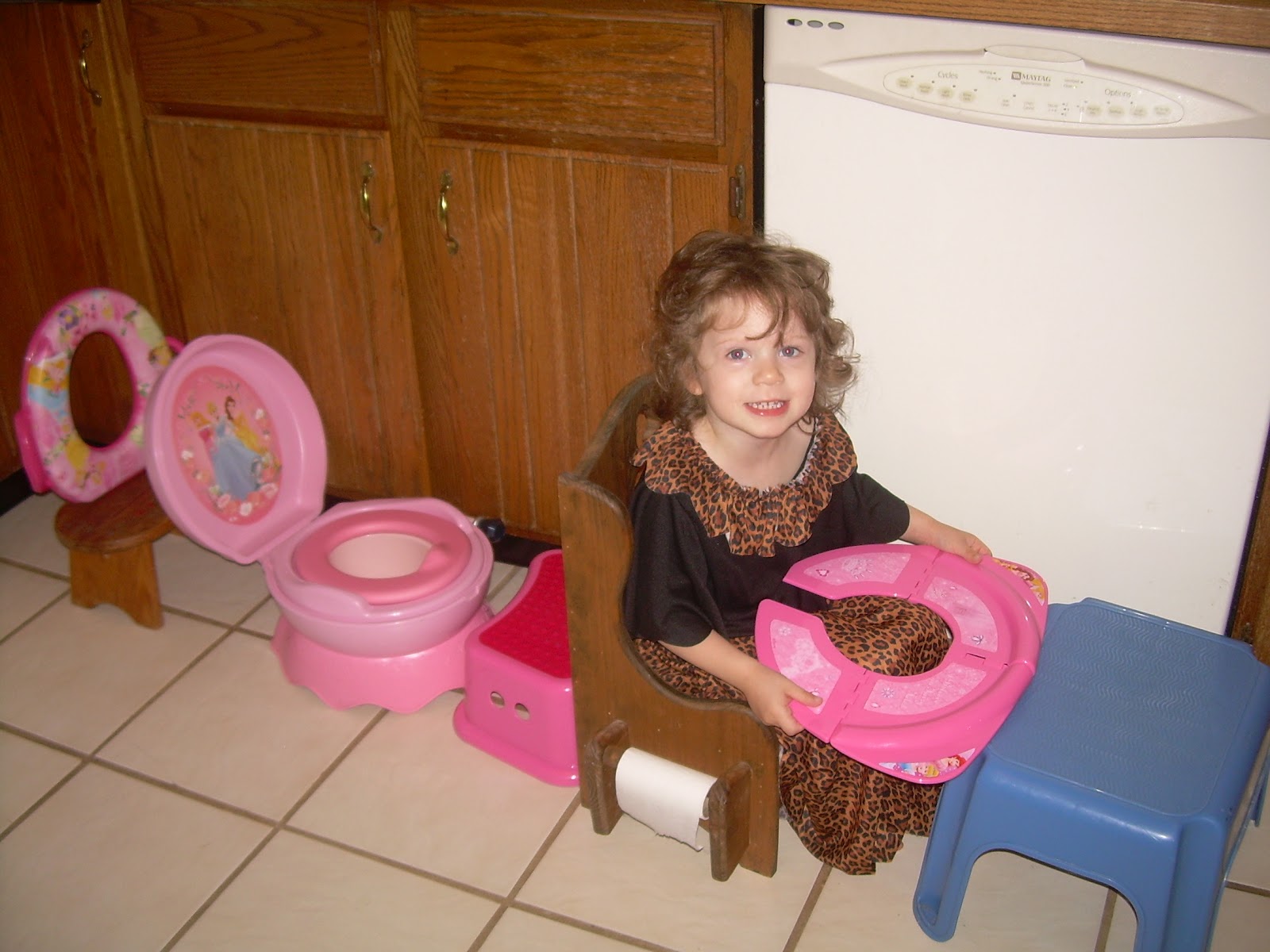 My MidLife Motherhood Final Destination On The Potty Train!