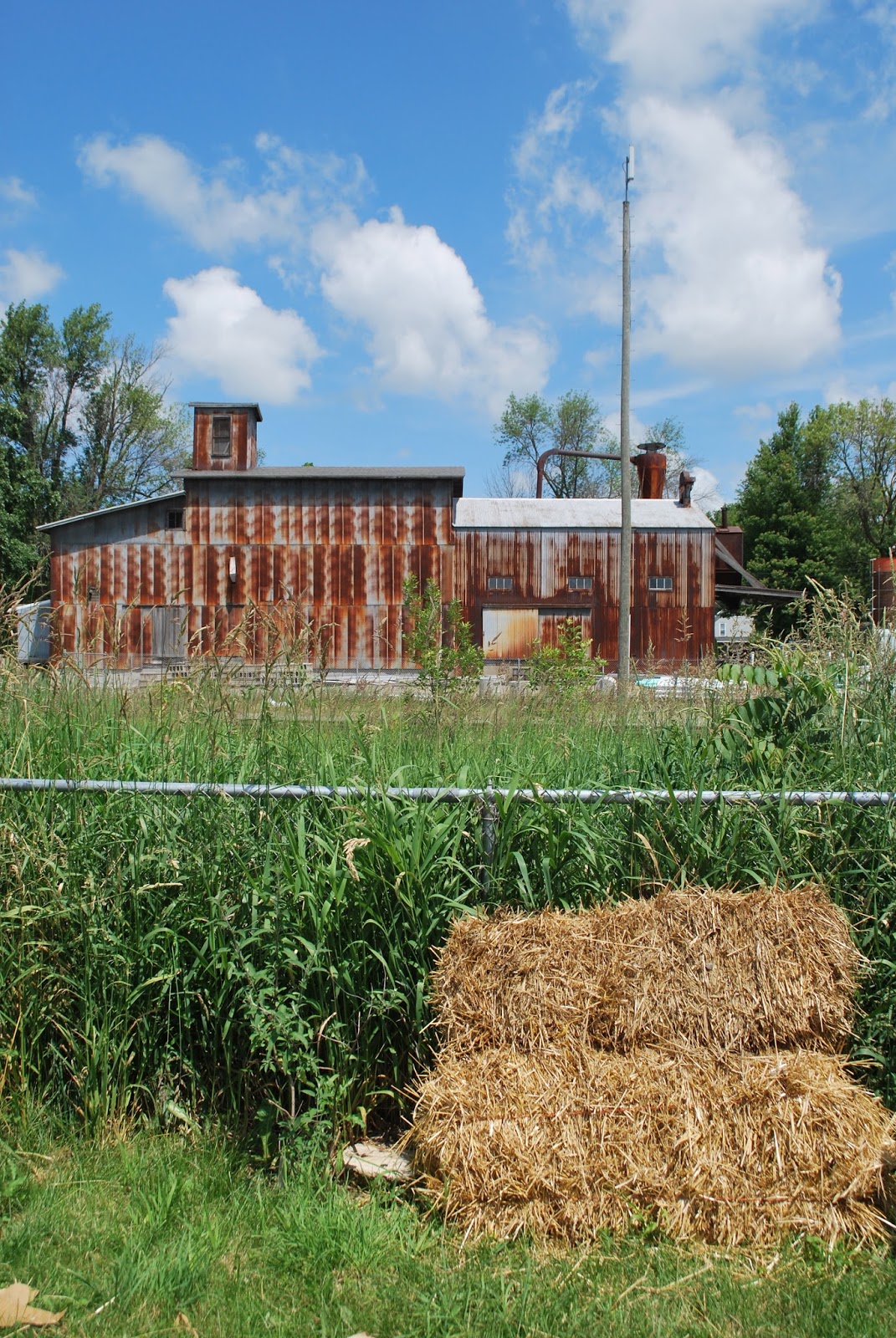 Three Oaks, Michigan Community Gardens