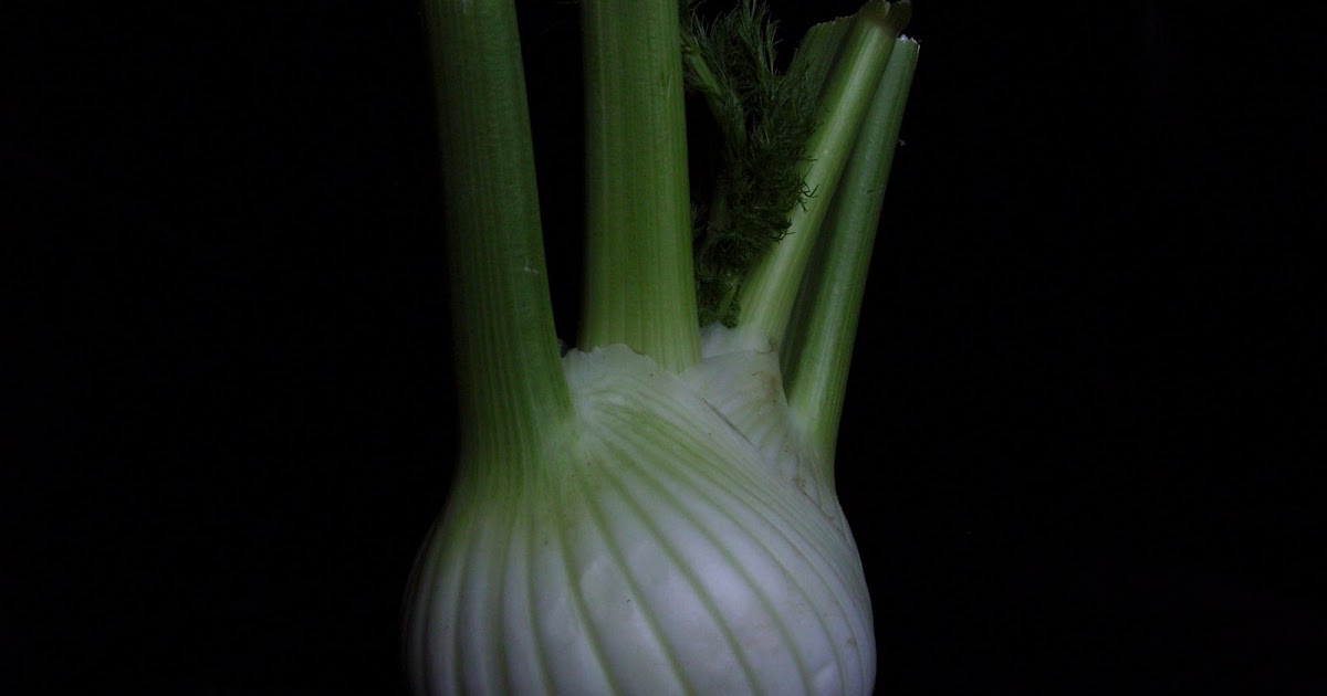 Feeding the Eye Fennel pale and interesting