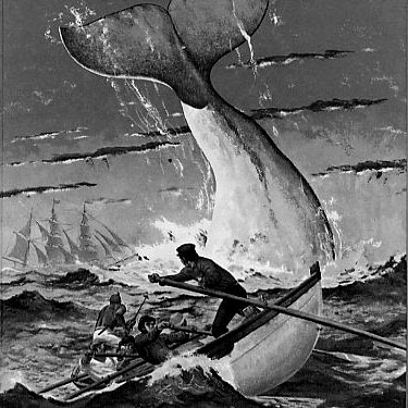 ilustration of Moby Dick with the whale breaching and three men in a lifeboat struggling to escape